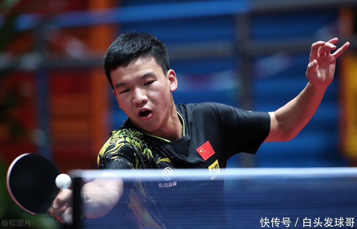 引进专业教 引进专业教